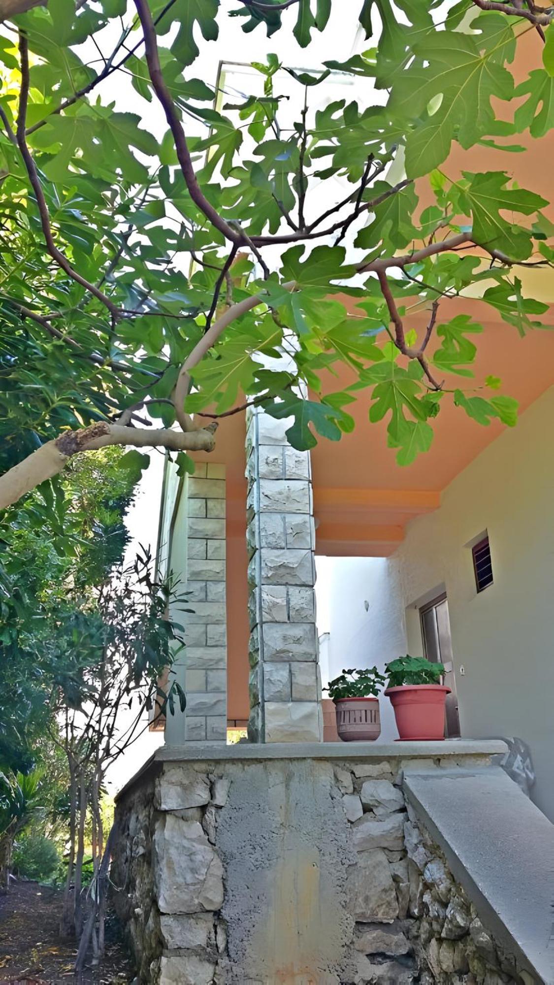 Cozy Apartments Danica Novalja - Ground Floor Exterior foto